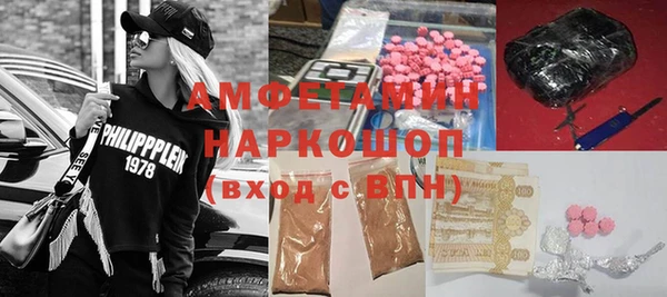 индика Бородино