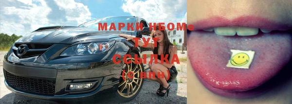 крисы Бугульма